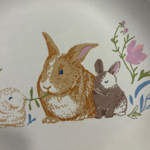 Bunny Rabbit Easter Spring 8" bamboo Melamine Salad Appetizer Plate Threshold - Picture 5 of 6
